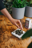 PAUSE Liquid Filled CBD Capsules